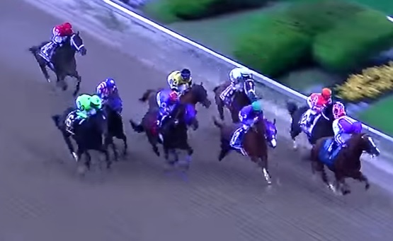 Buy a Racehorse Share